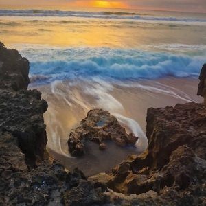 Meet your Posher, Lynn